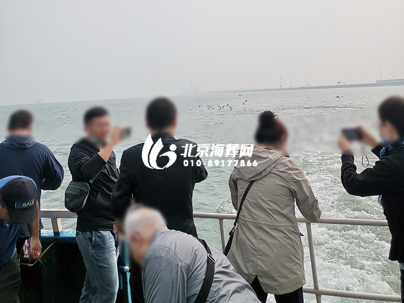 骨灰海撒现场