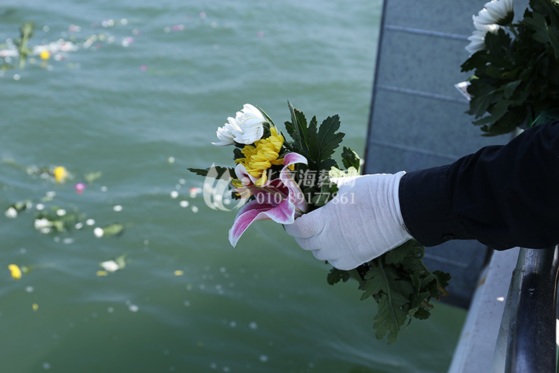 包船海葬骨灰海撒现场