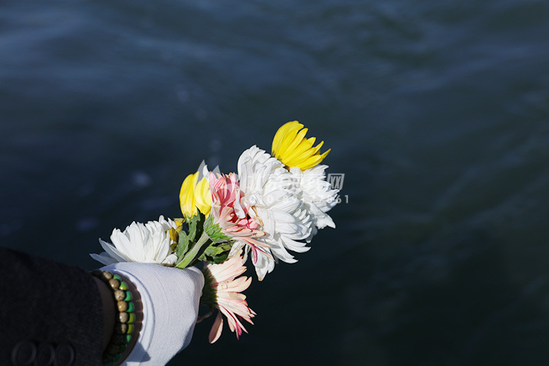 海撒鲜花