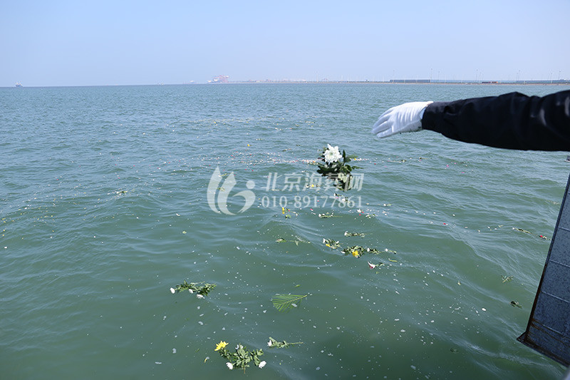 骨灰海撒现场