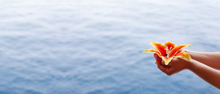 北京公益骨灰海撒办理指南
